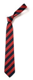 School Tie - TOP UP